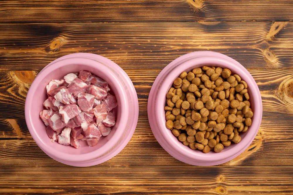 Dos cuencos con comida para perros.