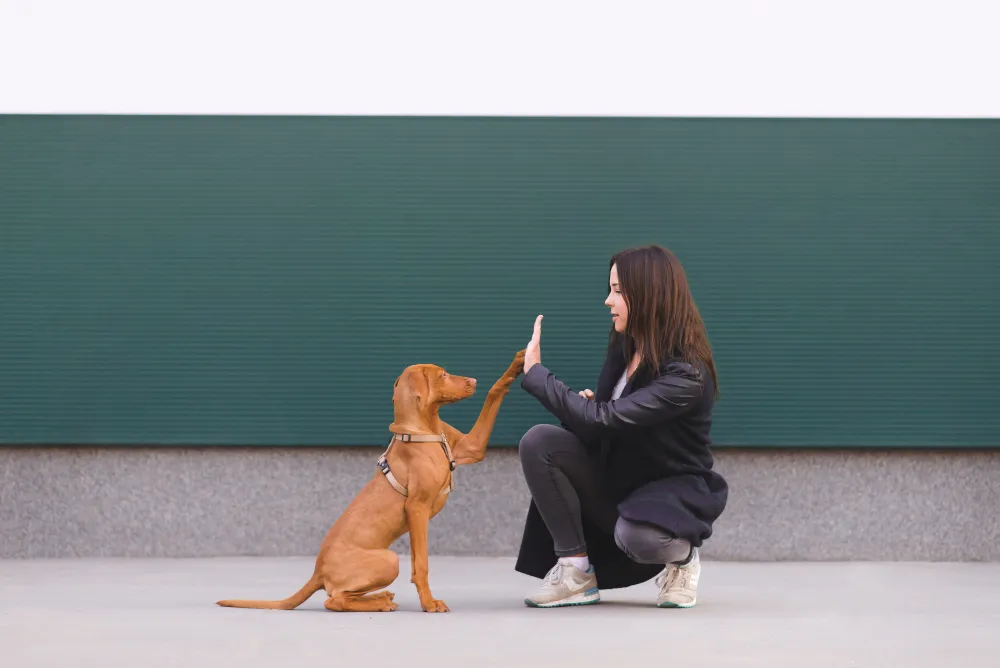 Mujer y perro chocando palmas exterior
