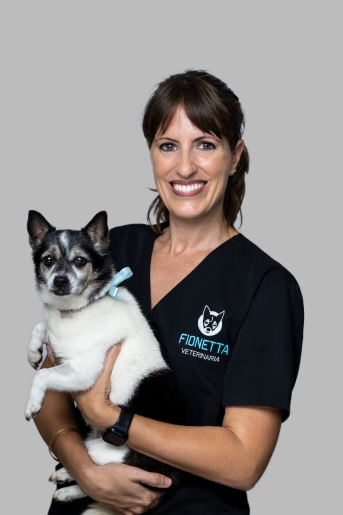 Veterinaria sonriente sostiene perro en sus brazos